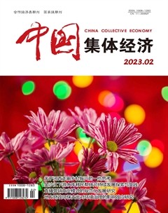 中国集体经济