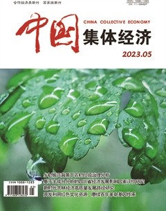 中国集体经济