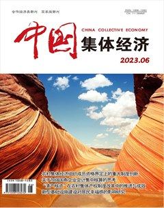 中国集体经济