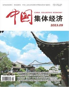 中国集体经济