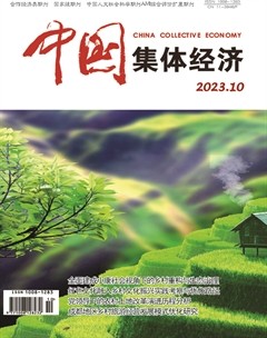 中国集体经济