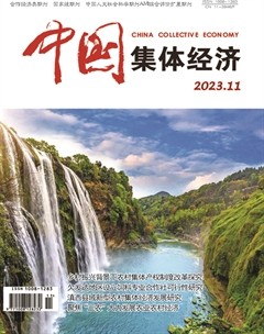 中国集体经济