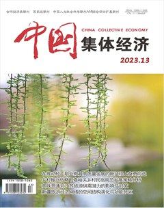 中国集体经济
