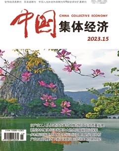 中国集体经济