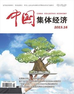 中国集体经济