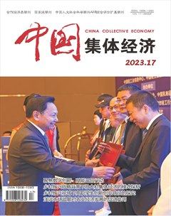 中国集体经济