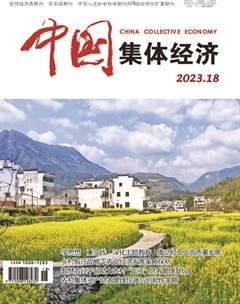 中国集体经济