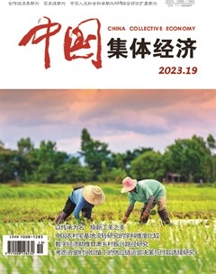 中国集体经济