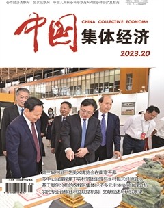 中国集体经济