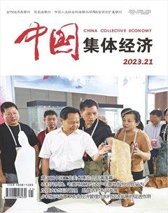 中国集体经济