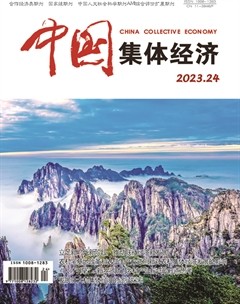 中国集体经济