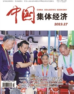 中国集体经济