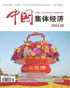 中国集体经济