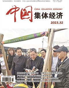 中国集体经济