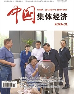 中国集体经济