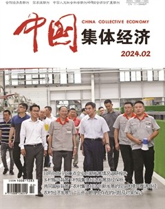 中国集体经济