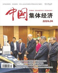 中国集体经济