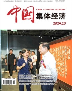 中国集体经济