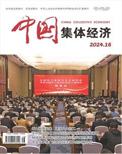 中国集体经济