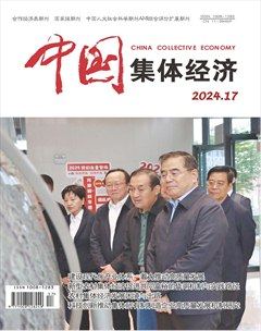 中国集体经济
