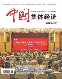 中国集体经济
