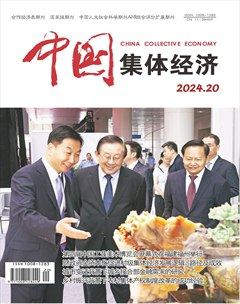 中国集体经济