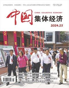 中国集体经济