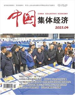中国集体经济