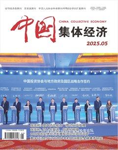 中国集体经济