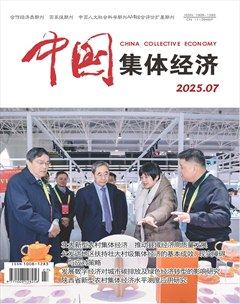 中国集体经济