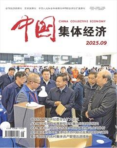 中国集体经济