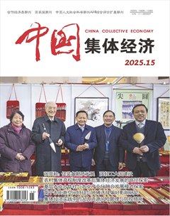 中国集体经济