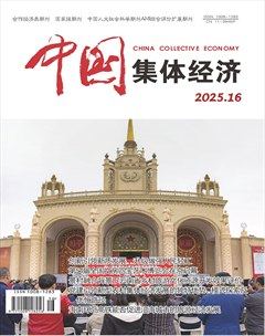 中国集体经济