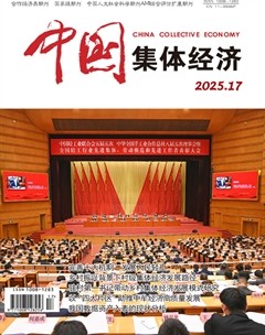 中国集体经济