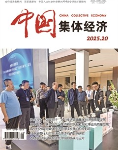 中国集体经济