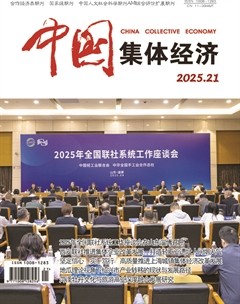 中国集体经济