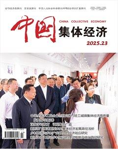 中国集体经济