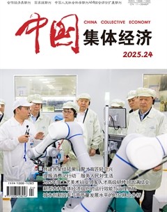 中國集體經濟