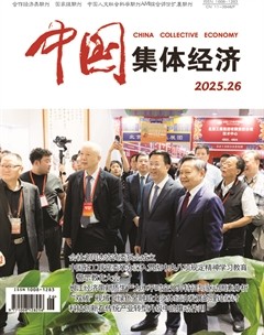中国集体经济