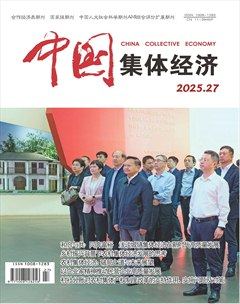 中国集体经济