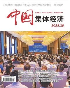 中国集体经济