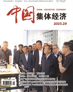 中国集体经济