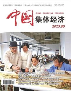 中国集体经济