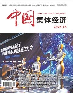 中国集体经济