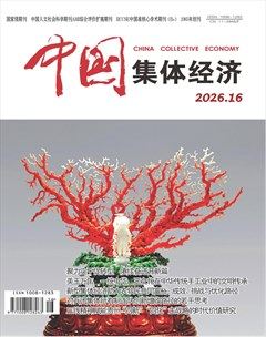 中国集体经济