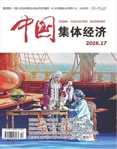 中国集体经济