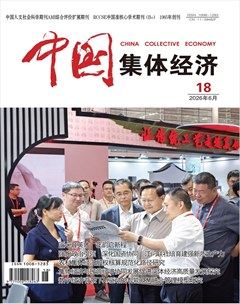 中国集体经济