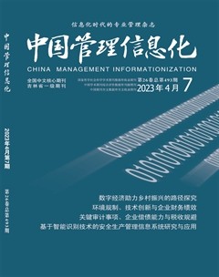 中国管理信息化