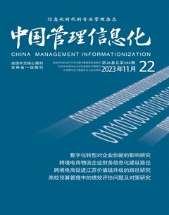 中国管理信息化