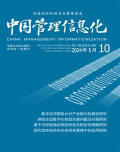 中国管理信息化